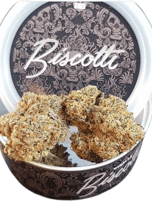 buy biscotti boyz tins online Europe