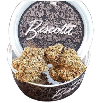 buy biscotti boyz tins online Europe
